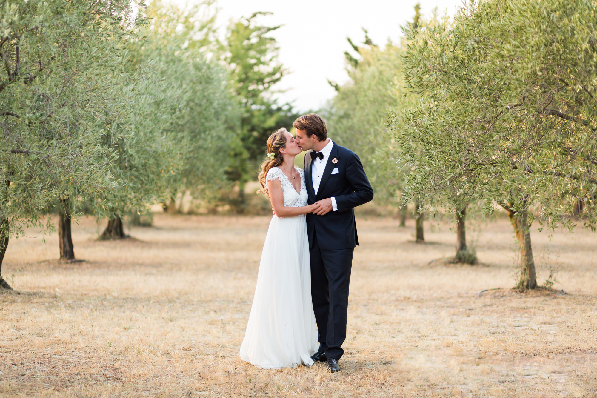 Un mariage à Saint Rémy de Provencen au coeur d'un champs d'oliviers